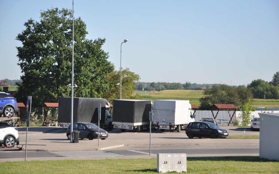 Busy nie znikną, klienci chcą mieć wybór i oczekują usług na żądanie