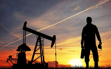 Analitycy prognozują: ropa będzie tanieć, a gaz drożeć