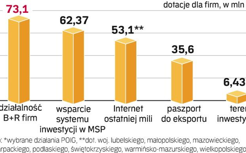 Do końca lutego w ramach programu „Innowacyjna gospodarka” uruchomionych będzie 12 konkursów na gran