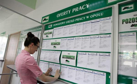 Zatrzymać młodych i dać im pracę