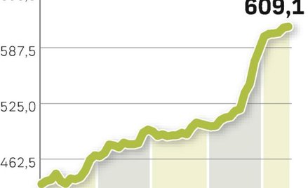 Ostatnie umocnienie złotego nie zahamowało wzrostu długu Skarbu Państwa.