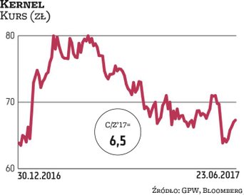 Akcje Kernela w tym roku przyniosły zaledwie jednocyfrowy zysk. Zdaniem analityków spółka ma jednak 