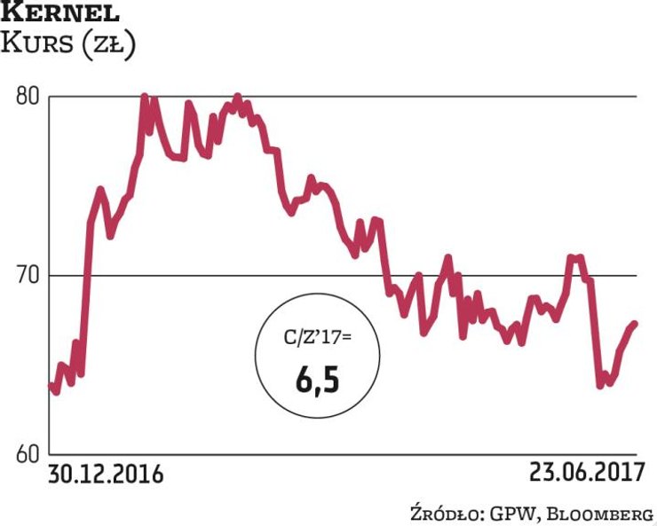 Akcje Kernela w tym roku przyniosły zaledwie jednocyfrowy zysk. Zdaniem analityków spółka ma jednak 