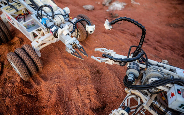 Marsjański łazik NASA odkrył ślady życia. Na… Ziemii