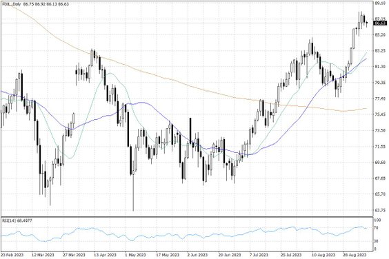 Notowania ropy naftowej WTI – dane dzienne