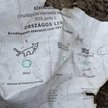 Wybory na Węgrzech. Na wysypisku śmieci znaleziono worek nadpalonych kart wyborczych