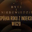Byki i Niedźwiedzie: nominowani w kategorii spółka z indeksu WIG20