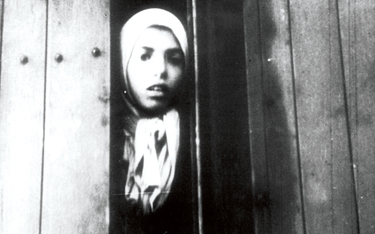Jedna z niezliczonych ofiar holokaustu Romów. Westerbork, obóz przejściowy w Holandii