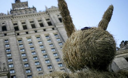 Mariusz Cieślik: Życie jak z Barei