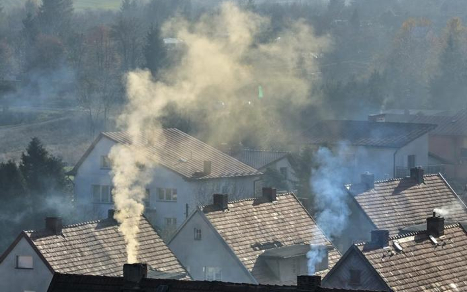 Do powstawania smogu przyczyniają się głównie gospodarstwa domowe. Na program &quot;Czyste powietrze