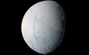Czy na Enceladusie coś żyje?
