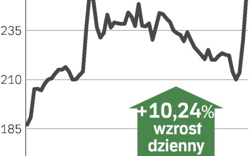 Porsche znów chce fuzji