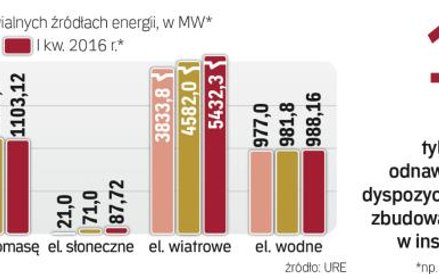 W Polsce jest 100 MW zainstalowanych w biogazowniach rolniczych