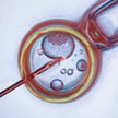 Stanowisko HFPC ws. kontroli TK procedur in vitro