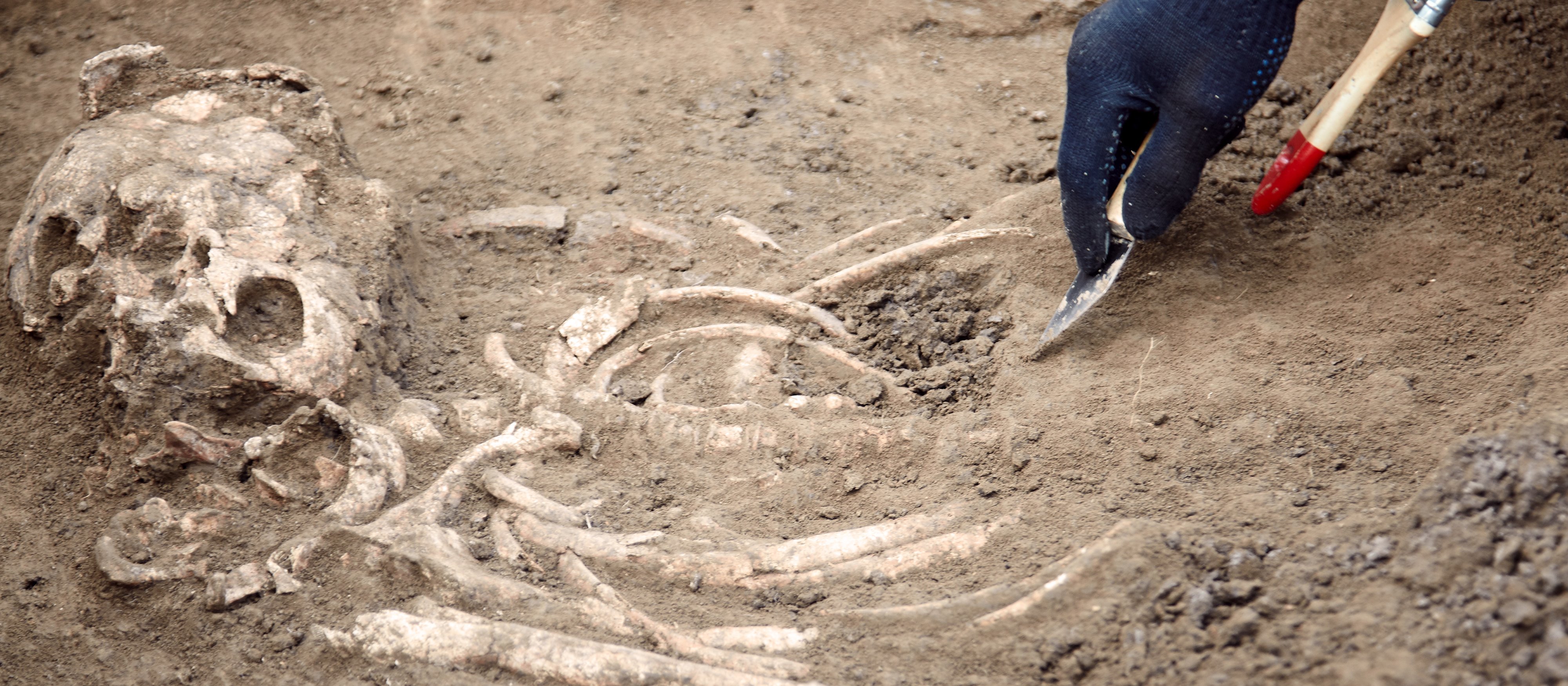 To nowy gatunek przodka człowieka? „Kluczowe dla zrozumienia naszej ewolucyjnej przeszłości"