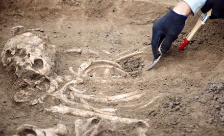 Naukowcy twierdzą, że Mała Stopa, skamieniałość hominina znaleziona w RPA, może być nowym gatunkiem 