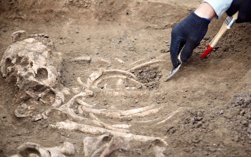 Naukowcy twierdzą, że Mała Stopa, skamieniałość hominina znaleziona w RPA, może być nowym gatunkiem 