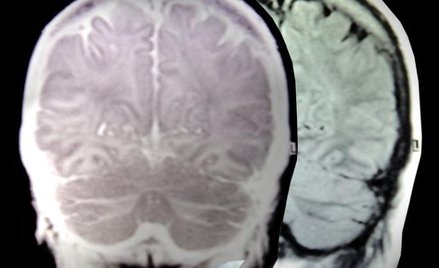 Prześwietlą myśli pasażerów