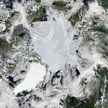 Mozaika zdjęć satelitarnych Arktyki, czerwiec 2010; źródło: NASA Earth Observatory; fot. Jeff Schmal