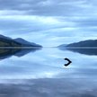 Potwór z Loch Ness znów straszy!