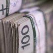 Połowa samozatrudnionych na podatku liniowym może stracić na reformie podatkowej
