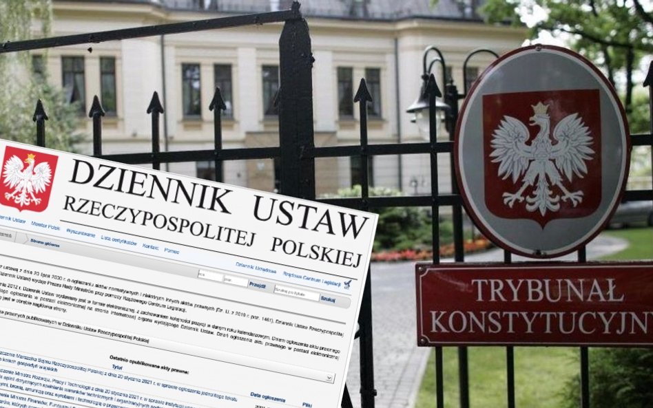 Trybunał Konstytucyjny, Dziennik Ustaw