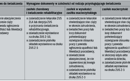 Jakie dokumenty zgromadzić