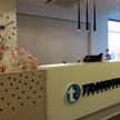 Transition Technologies rozważa debiut spółki zależnej na giełdzie