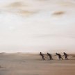 Wystawa Photografrica / Malowane Mali