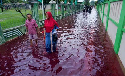 Woda w kolorze krwi zalała miasto w Indonezji