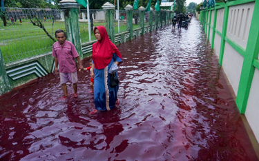 Woda w kolorze krwi zalała miasto w Indonezji