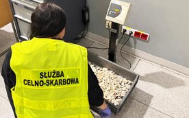 Funkcjonariusze Służby Celno-Skarbowej wytypowali pasażera do kontroli szczegółowej. Łączna waga zab