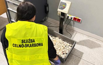 Funkcjonariusze Służby Celno-Skarbowej wytypowali pasażera do kontroli szczegółowej. Łączna waga zab