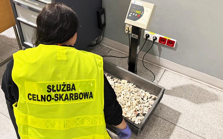 Funkcjonariusze Służby Celno-Skarbowej wytypowali pasażera do kontroli szczegółowej. Łączna waga zab