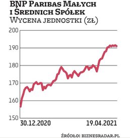 BNP Paribas Małych i Średnich Spółek to jeden z mniejszych funduszy akcji polskich, z 29 mln zł akty
