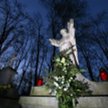 Strażnicy leśni sprawdzą źródło i legalność pochodzenia stroiszu.