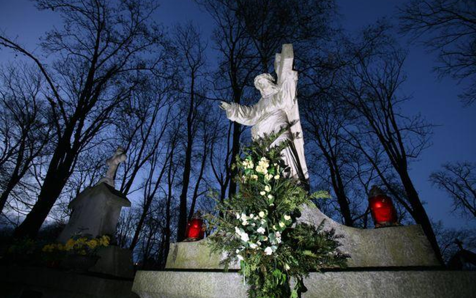 Strażnicy leśni sprawdzą źródło i legalność pochodzenia stroiszu.