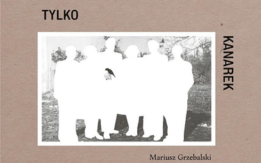 „Tylko kanarek widział”, Mariusz Grzebalski, Wydawnictwo Warstwy