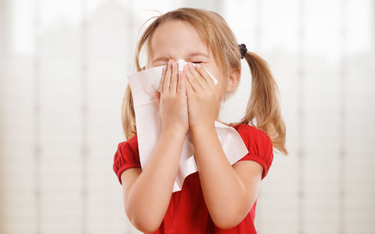 Amerykanie doświadczą dłuższego sezonu alergii przez zmiany klimatu