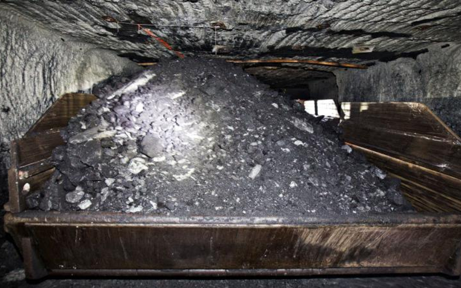 Krawietz zajmie sie toryfikacją