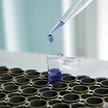Nowoczesne testy DNA są już dostępne
