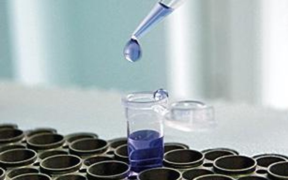 Nowoczesne testy DNA są już dostępne