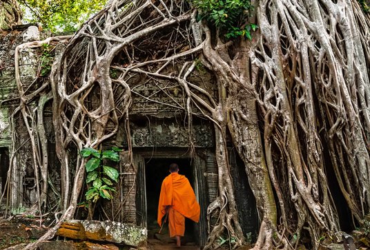 Ta Prohm – jedna ze świątyń w kompleksie Angkor Wat, w stanie zbliżonym do tego, w jakim została odk