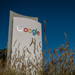 Część pracowników Google sprzeciwia się kontraktom z Izraelem z powodu wojny w Gazie