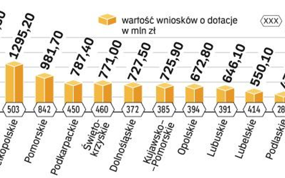 Najwięcej wniosków o dotacje złożyły firmy na Śląsku. Łącznie ubiegają się o prawie 6 mld zł dofinan