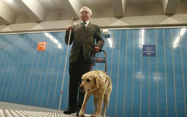 Sąd: niewidomego z psem można nie wpuścić do restauracji z powodu braku miejsca