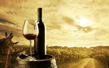 Rekordowy rok dla wina. Wyprodukowano 282 mln hektolitrów wina