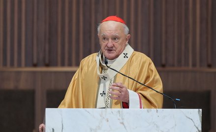 Kardynał Kazimierz Nycz