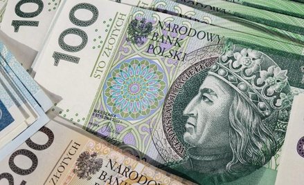 Wzrost kursów walut obcych to problem dla przedsiębiorców, którzy w związku ze spłatą kredytów muszą