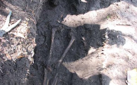 Miejsce poszukiwań w parku